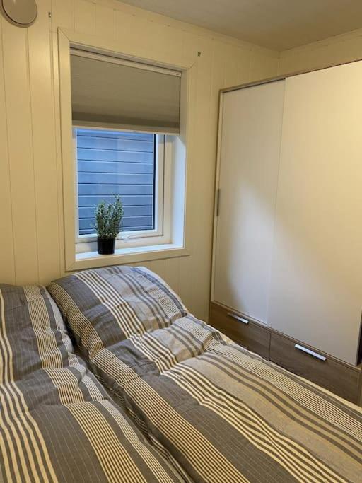 Helt Ny Rorbu Pa Slyngstad I Alesund Kommune Ngoại thất bức ảnh